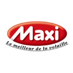 Maxi